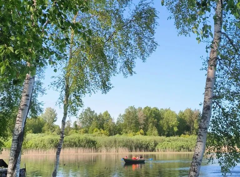 дом р-н Выборгский п Козлово Каменногорское городское поселение, 30 фото 23