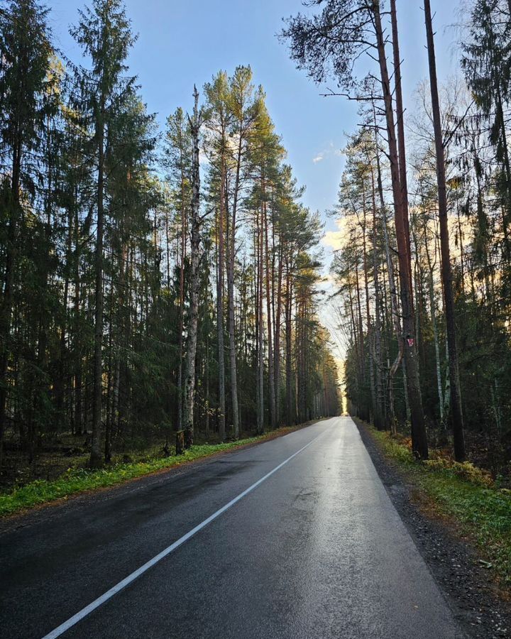 земля р-н Новгородский д Любитово Савинское сельское поселение, Пролетарий фото 4