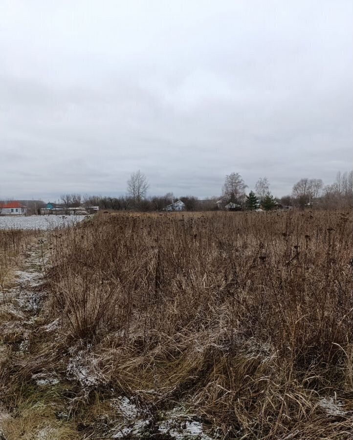 дом р-н Курский д Звягинцево сельсовет, Маршала Жукова, Клюквинский фото 2