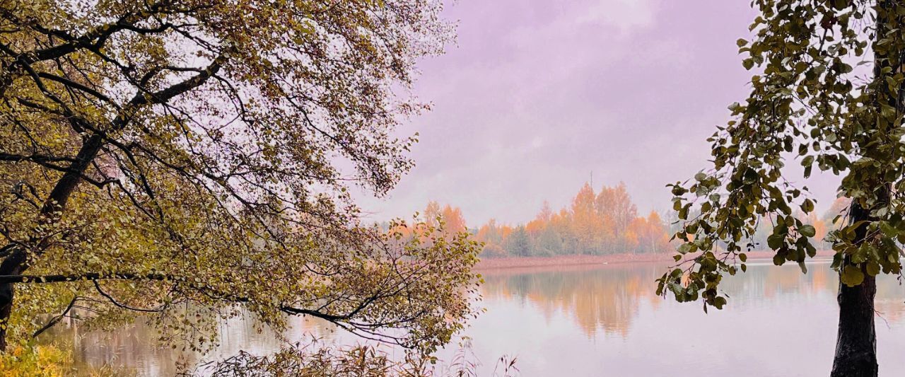 дом городской округ Воскресенск г Белоозёрский Отрадная тер., Ипподром фото 9