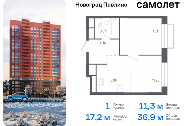 Балашиха городской округ, Новое Павлино м-н фото