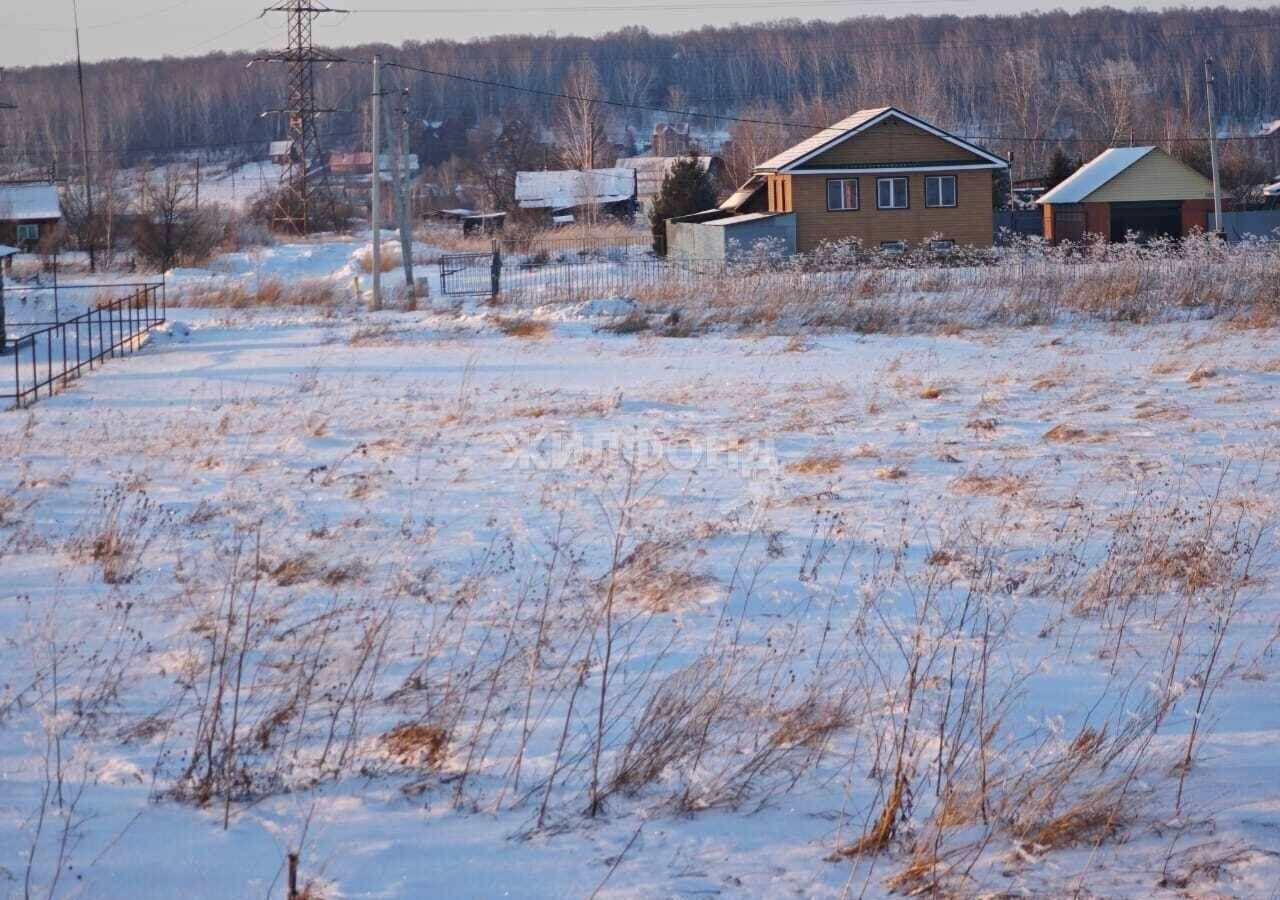 земля р-н Тогучинский д Шмаково ул Ясная Репьевский сельсовет, Кольцово фото 3