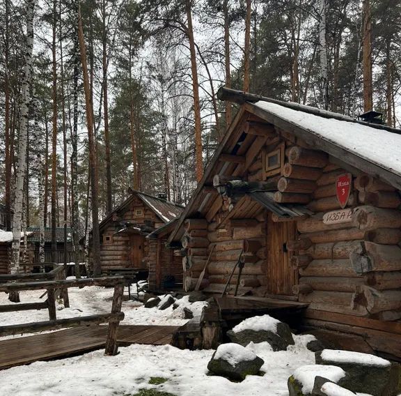 дом г Екатеринбург ул Пески 13 Площадь 1905 года фото 10