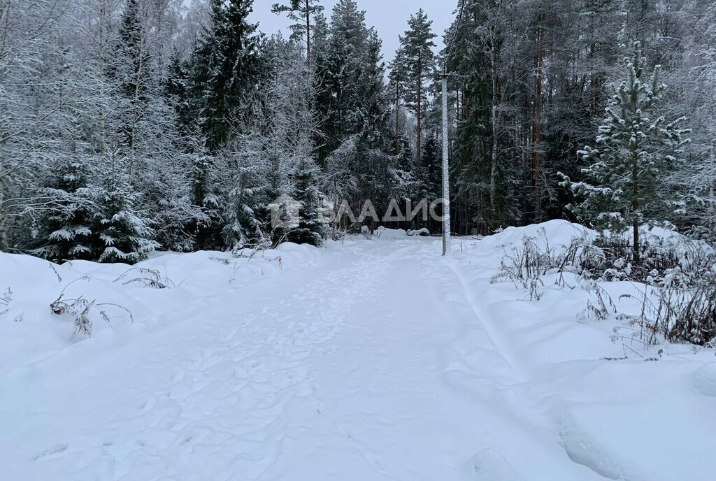 земля городской округ Щёлково д Вторая Алексеевка ул Заповедная фото 6