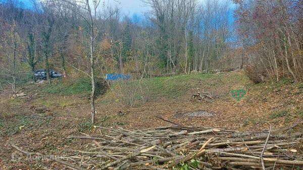 муниципальное образование Геленджик, садовое товарищество Строитель фото