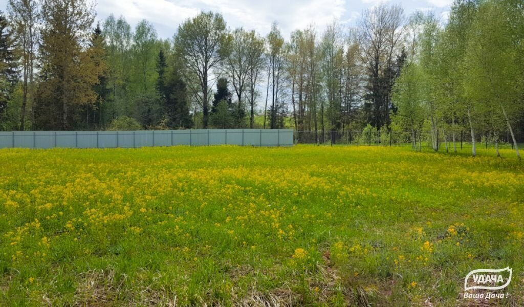 земля городской округ Шаховская д Холмец днп Холмец-2 фото 2