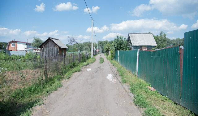 садовое товарищество Ветеран, 3-я улица фото