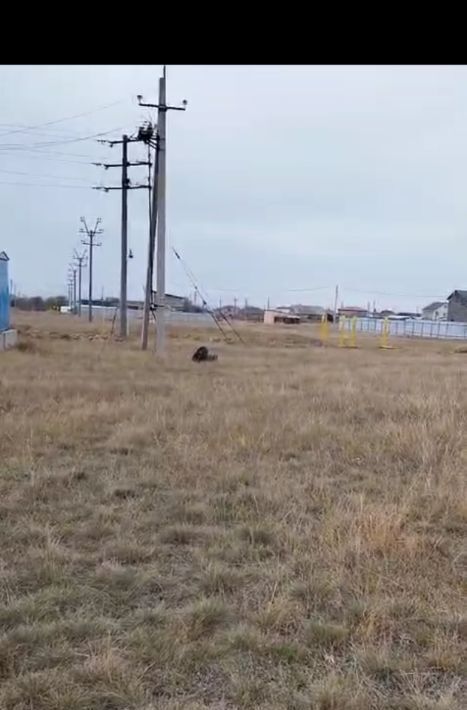 земля р-н Черноморский с Межводное ул Миндальная фото 2