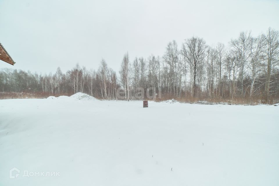 земля р-н Томский ДНТ Эдем, Снежная улица фото 7