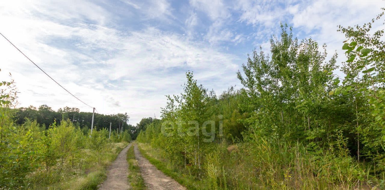 земля р-н Хабаровский с Осиновая Речка ул Героев-афганцев Осиновореченское с/пос фото 6