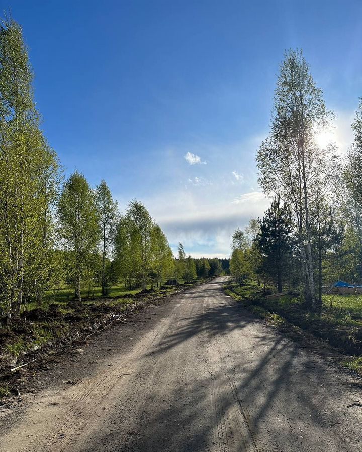 земля городской округ Раменский д Тяжино ул Клубничная 31 км, Бронницы, Рязанское шоссе фото 10