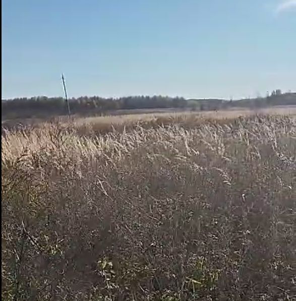 офис городской округ Можайский д Прудня ул Центральная фото 1