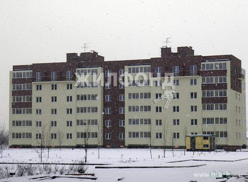 квартира г Новосибирск метро Площадь Гарина-Михайловского р-н Ленинский ул Дивногорская 150/4 фото 13