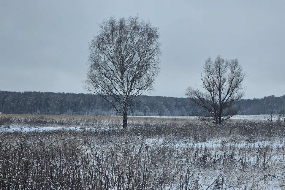 земля городской округ Ступино д. Толочаново фото 2