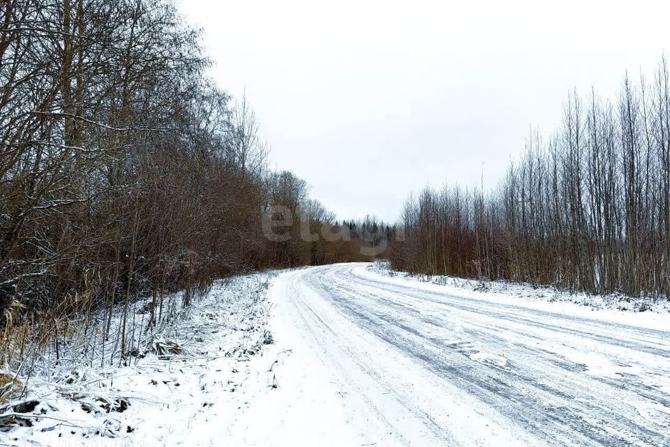 земля р-н Волховский д. Хамонтово фото 7