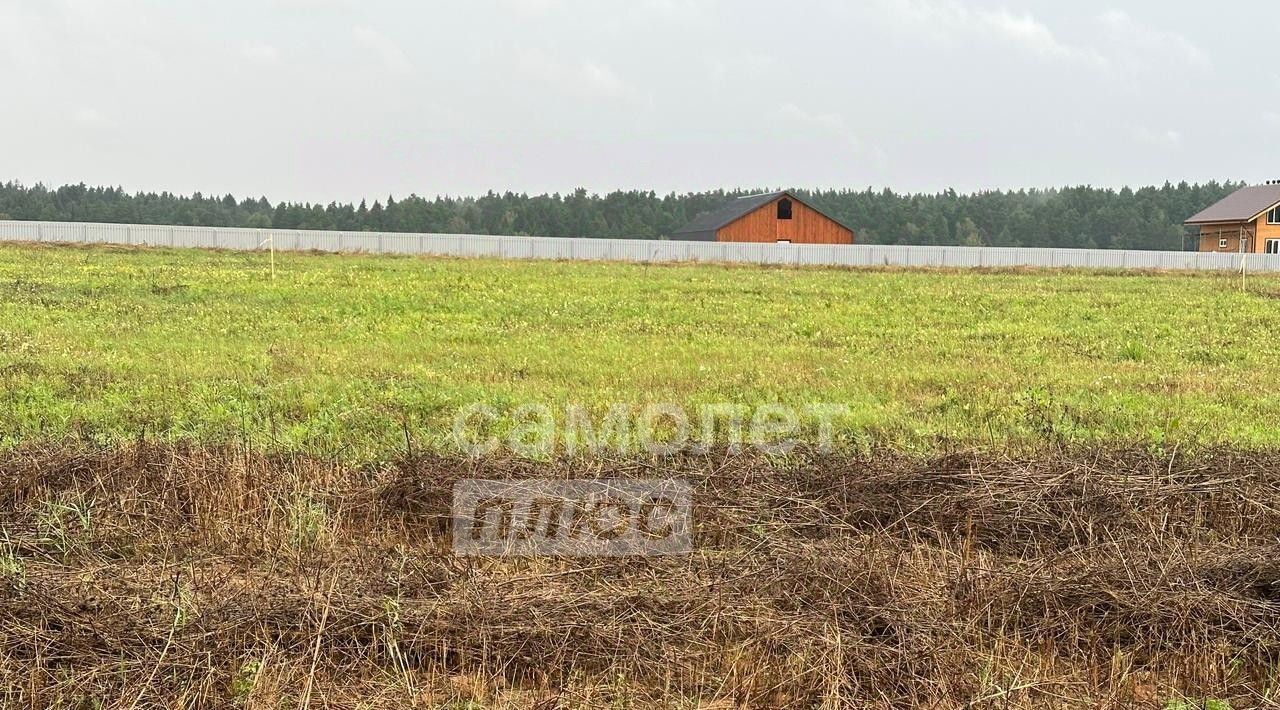 земля г Домодедово д Ивановка Еловый бор кп, ул. Зеленая фото 4