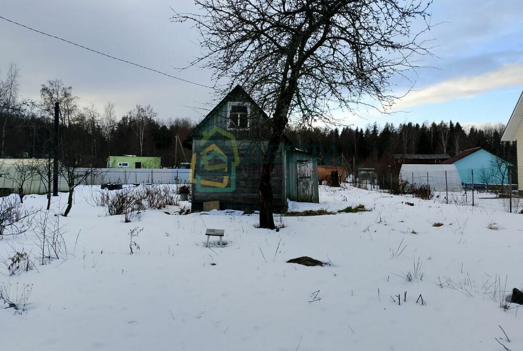 земля р-н Выборгский г Выборг ул Цветущий Мыс Выборгское городское поселение фото 12