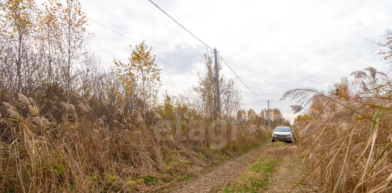 земля г Тюмень р-н Центральный СОСН Изыскатель тер., ул. Солнечная фото 4