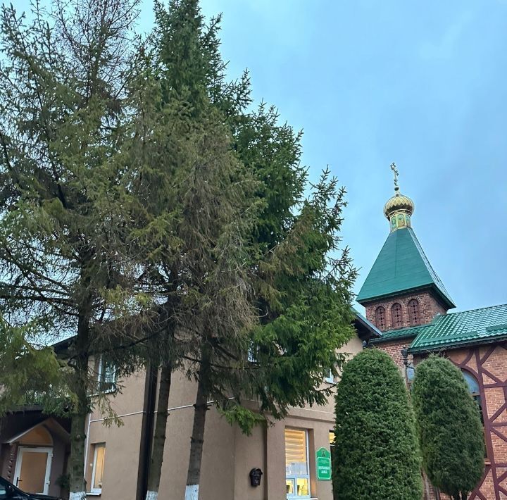 квартира р-н Зеленоградский г Зеленоградск ул Железнодорожная 10а фото 11