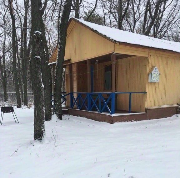 дом р-н Ставропольский с Ягодное Ягодинское лесничество фото 1