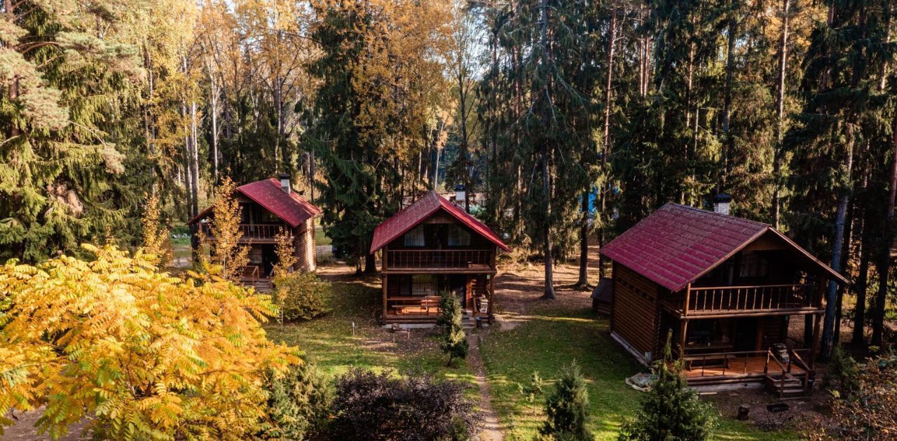 дом р-н Гдовский д Залахтовье Спицинская волость фото 5