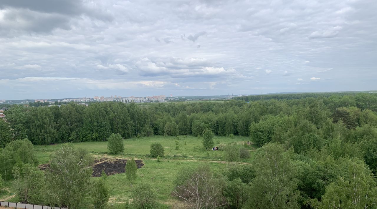 квартира городской округ Ленинский д Мисайлово ул Луговая 4 ЖК «Пригород Лесное» Домодедовская фото 21