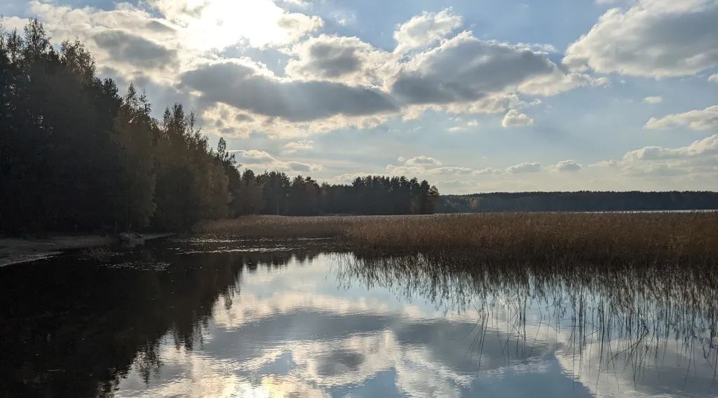 дом р-н Приозерский п Цветково ул Краснопольская 23а Плодовское с/пос фото 16