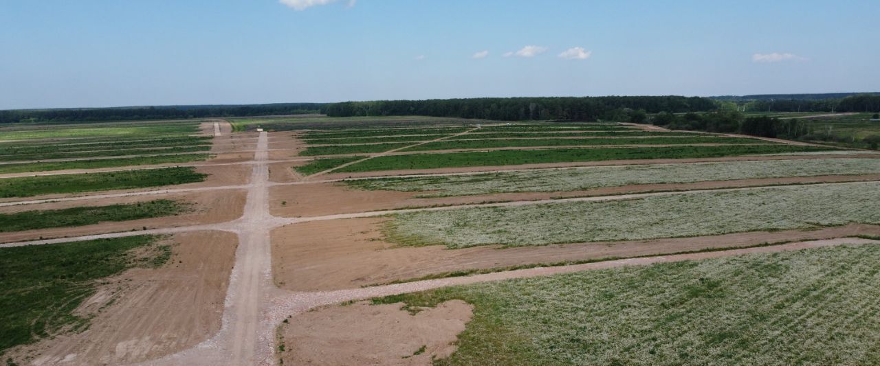 земля городской округ Домодедово с Успенское 218, Барыбино кп фото 4