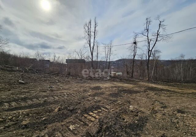 п Трудовое р-н Советский Артёмовский г. о., Артём, дачный массив Синяя Сопка фото