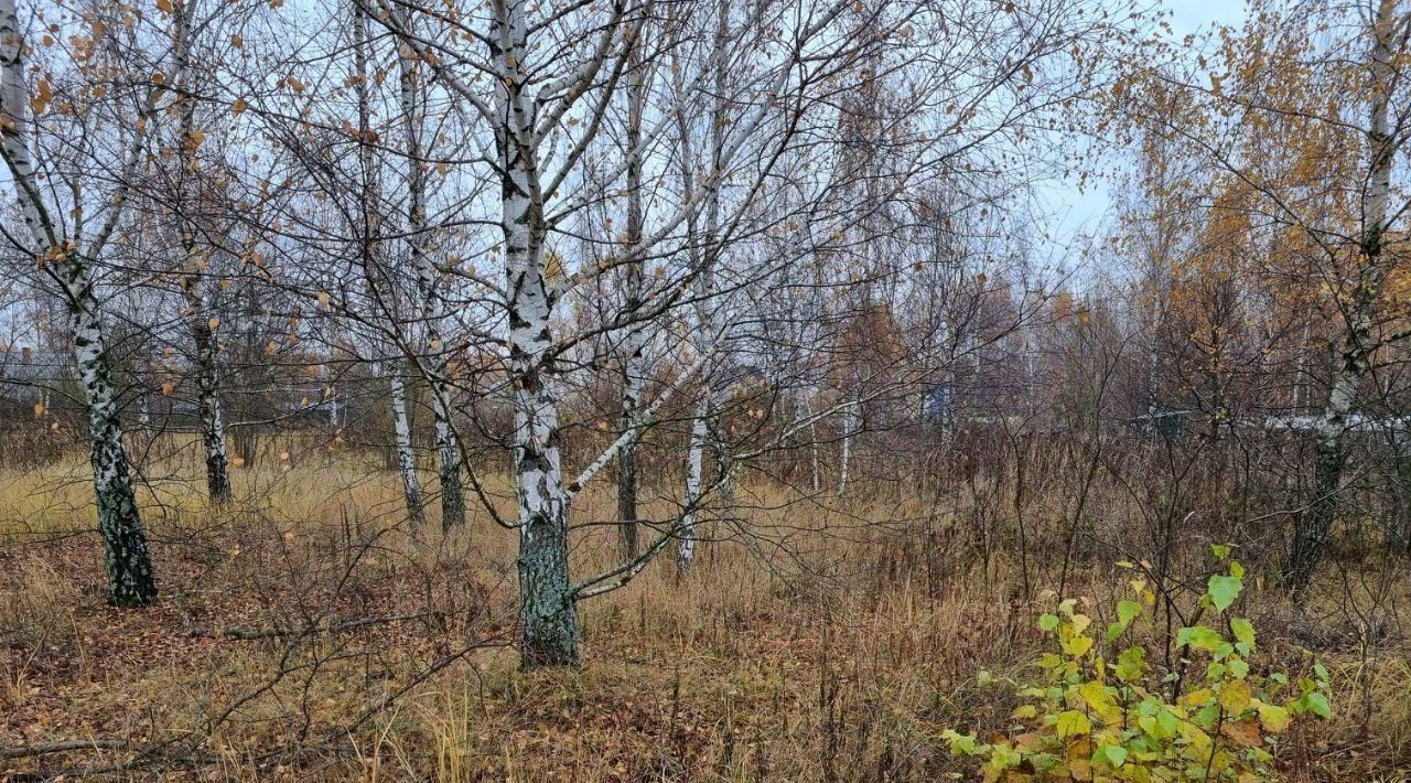 земля городской округ Наро-Фоминский д Залучное снт Внуково фото 1