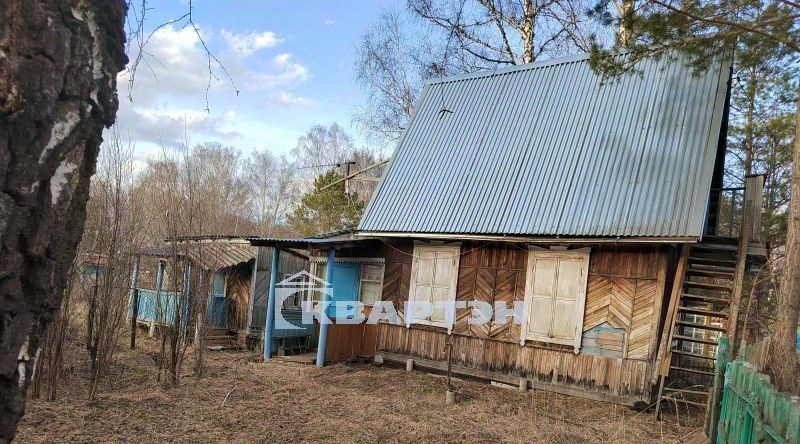 дом р-н Новосибирский снт Спутник ул Весенняя Барышевский сельсовет фото 11