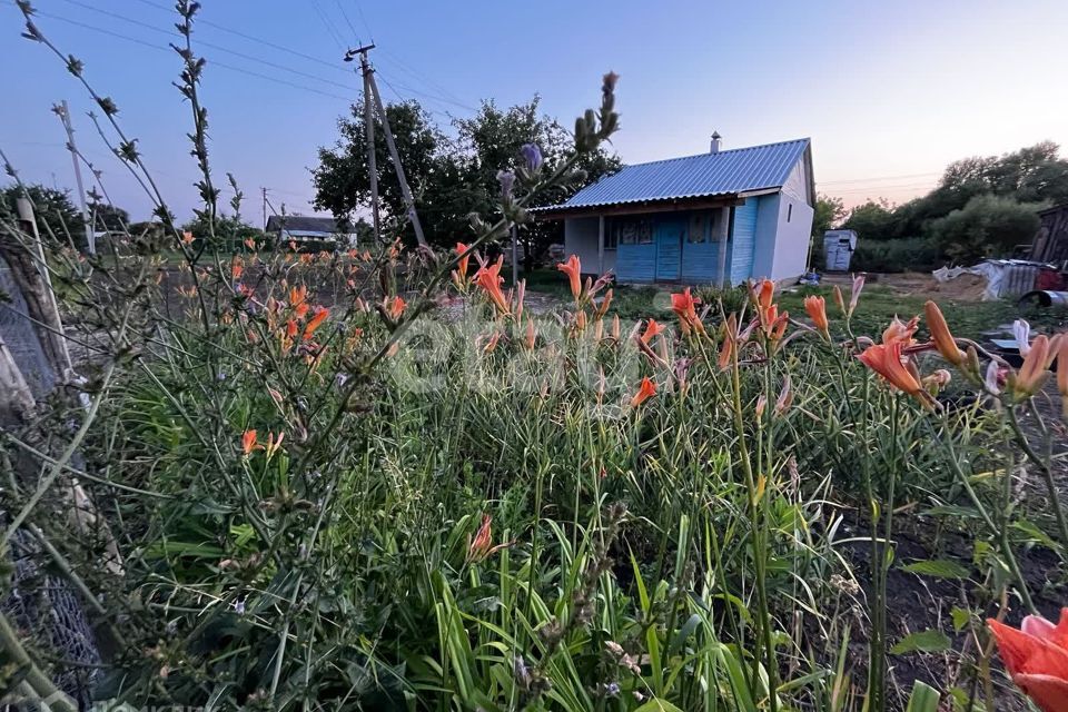 дом р-н Плавский с Большие Озерки ул Луговая 6 фото 4