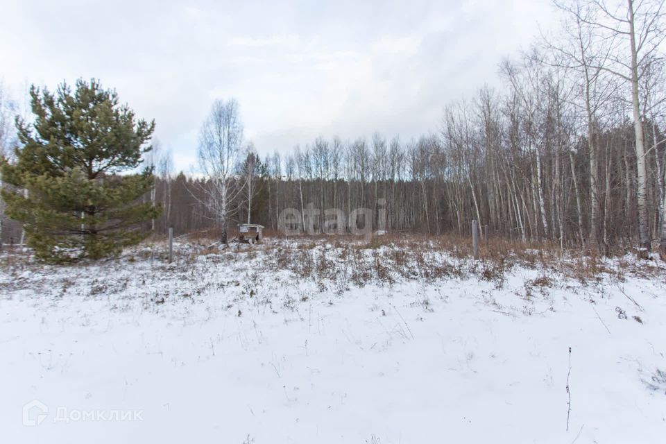 земля г Тобольск улица Центральная, 24, Тобольск городской округ фото 10