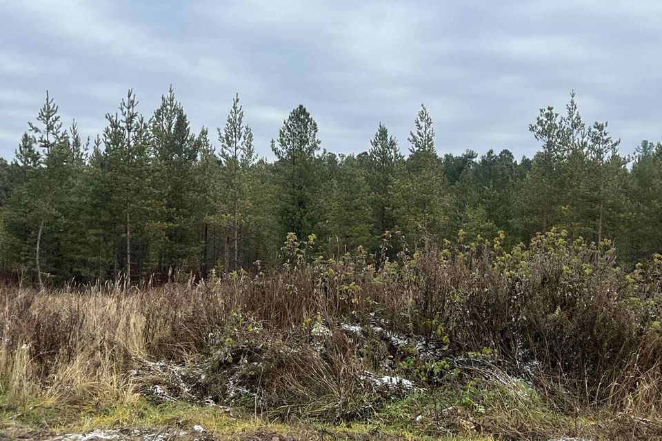 земля Сургут городской округ, ПСОК Автомобилист-1, Клубничная улица фото 1