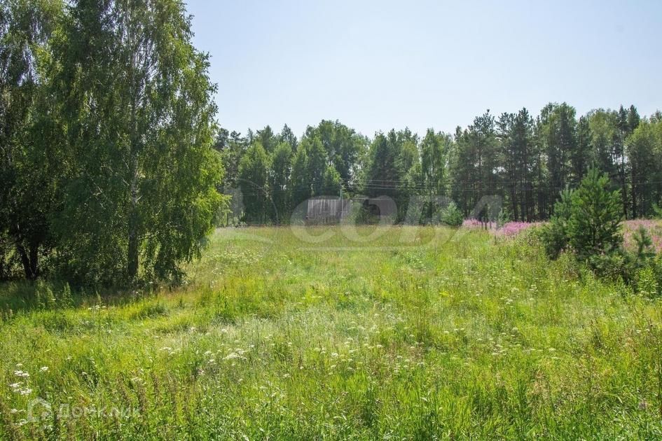 земля р-н Нижнетавдинский Штакульская фото 2