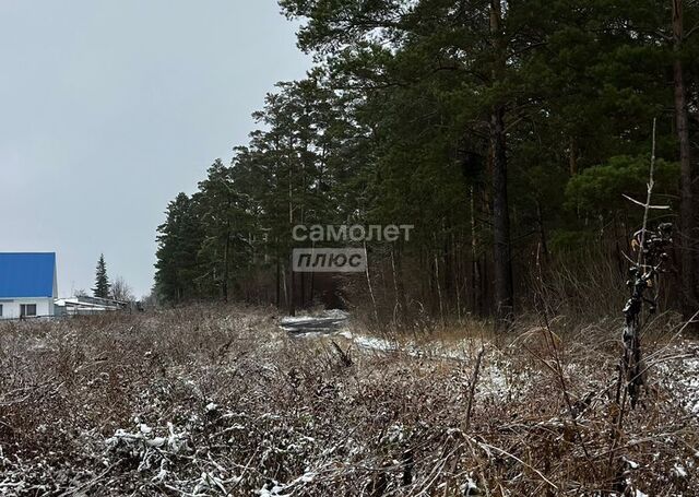 земля п Новые Зори ул Садовая 6/1 Новозоринский сельсовет фото