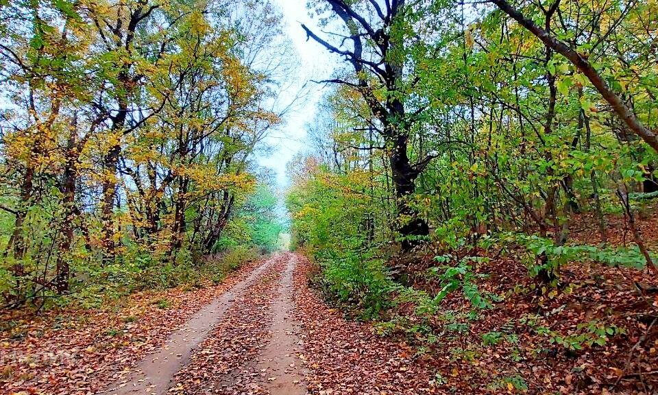 земля р-н Северский Новоалексеевский фото 1