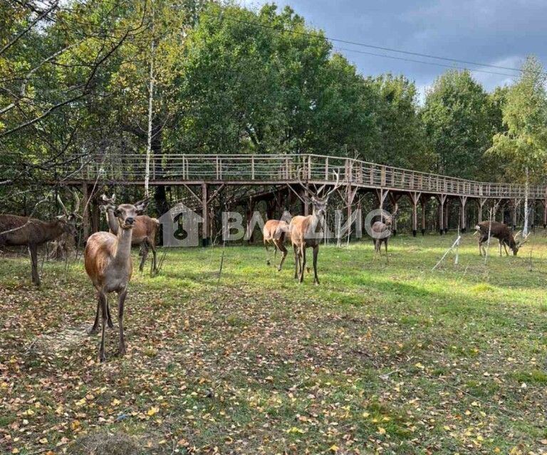 земля р-н Чкаловский д Васильково Бор городской округ, 43 фото 9