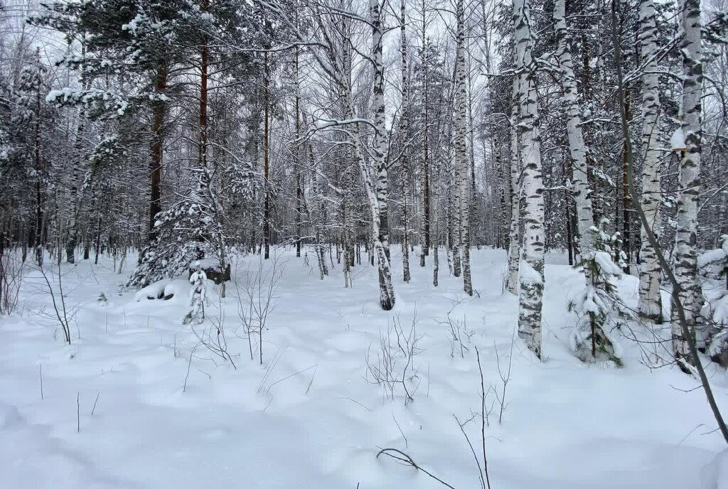 земля р-н Медведевский п Сурок ул Заозерная фото 1