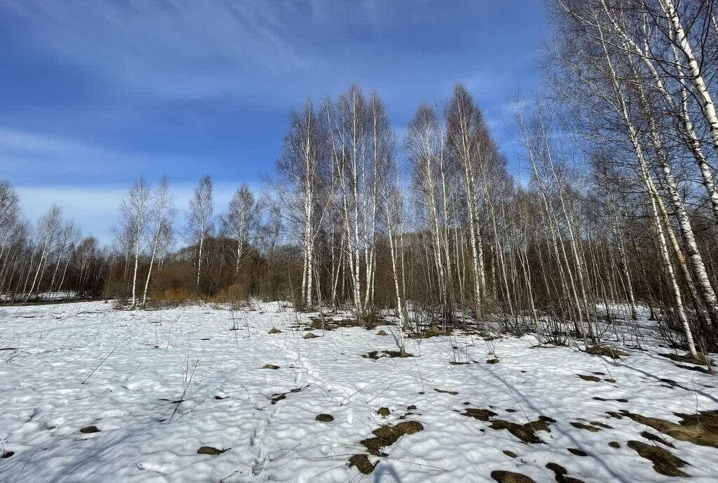 земля р-н Костромской д Терентьево Бакшеевское сельское поселение фото 2