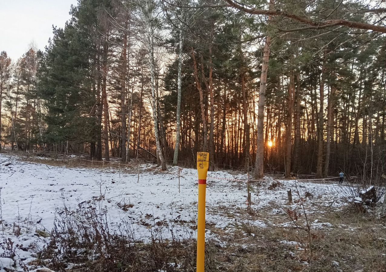 земля р-н Заокский рп Заокский городское поселение Заокский фото 2