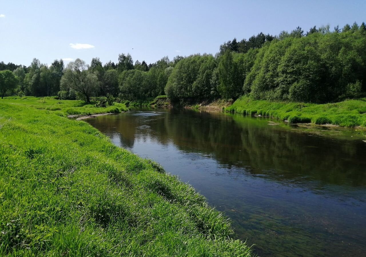 земля городской округ Можайский д Холдеево ул Речная 85 км, Можайск, Минское шоссе фото 4