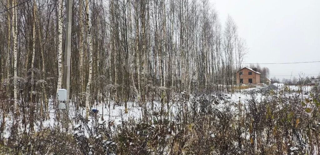 земля р-н Костромской д Кузьмищи Кузьмищенское сельское поселение фото 3