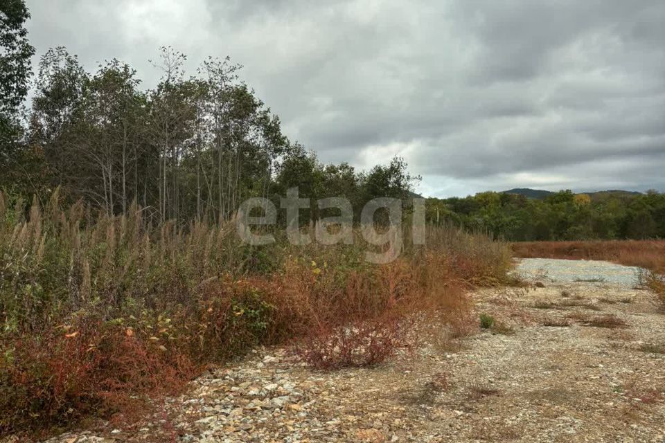 земля Артёмовский городской округ, с. Ясное фото 3