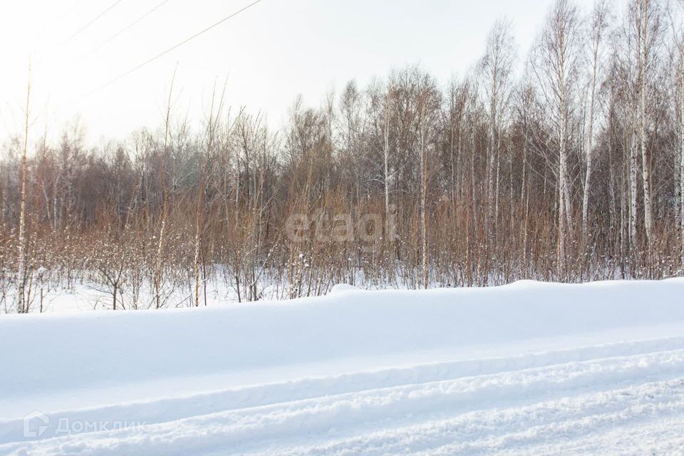 земля г Тобольск улица Центральная, 24, Тобольск городской округ фото 10