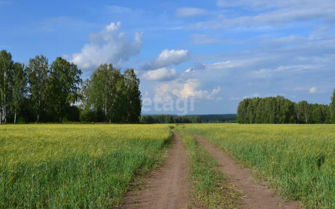 земля городской округ Серпухов д Большое Грызлово фото 3