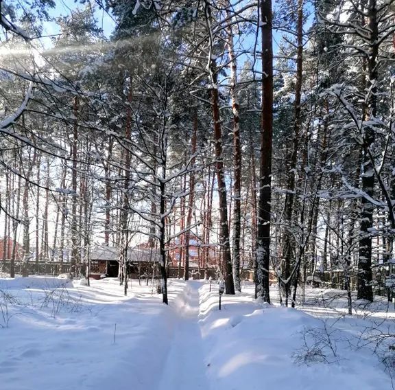 дом городской округ Раменский д Вялки ул Полянка 2в фото 24