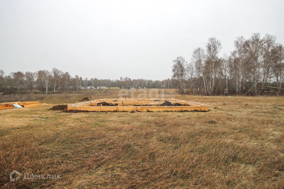 земля р-н Первомайский с Фирсово Кедровая улица, 2А фото 2