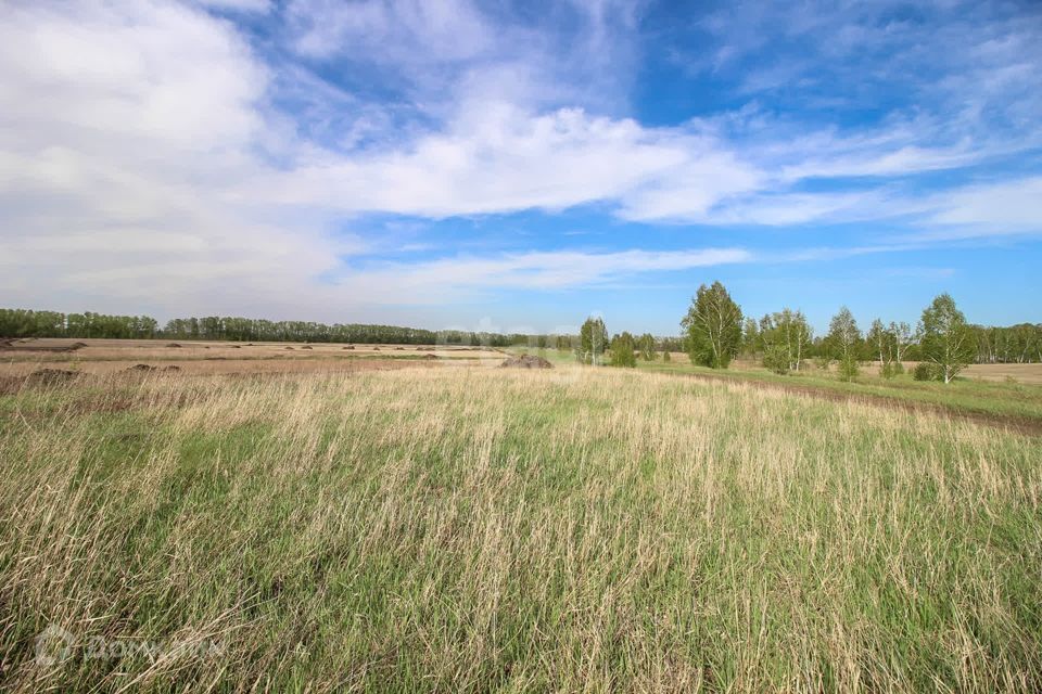 земля р-н Первомайский п Новый ул Райская Берёзовский сельсовет фото 1