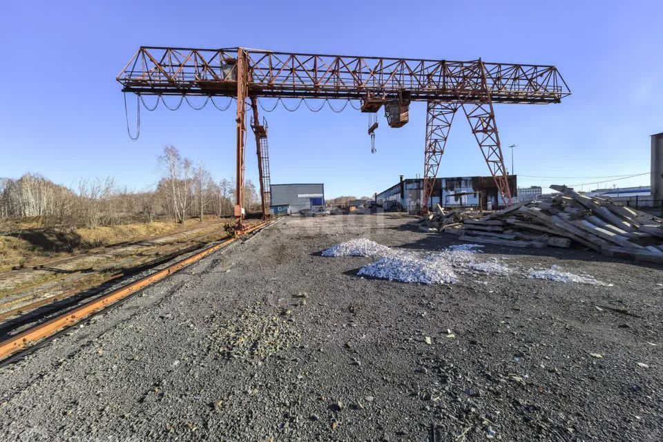 земля г Новосибирск р-н Калининский Калининский, Новосибирск городской округ фото 7